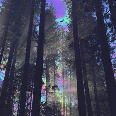 澳门威尼斯人软件