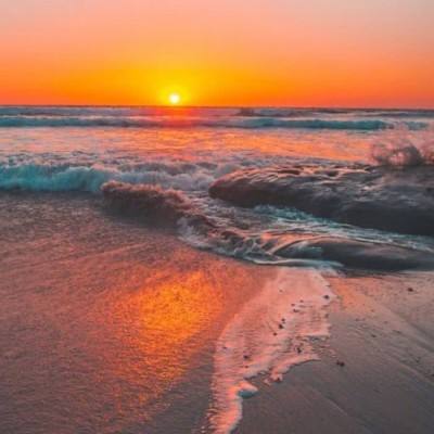 彩神下载手机版截图