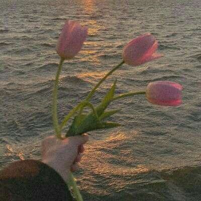 爱游戏官方app下载