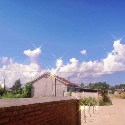 爱游戏app手机app下载