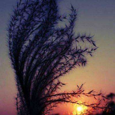 yabo网页版手机版