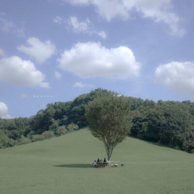 赏金女王免费安卓下载