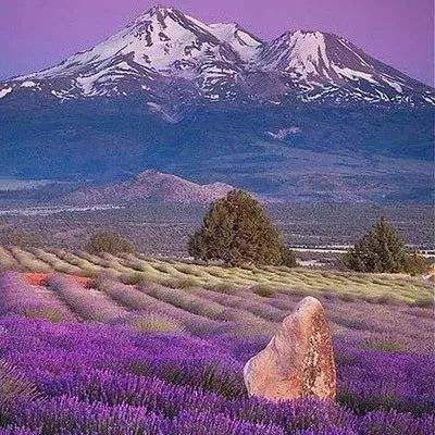 爱游戏官方app下载